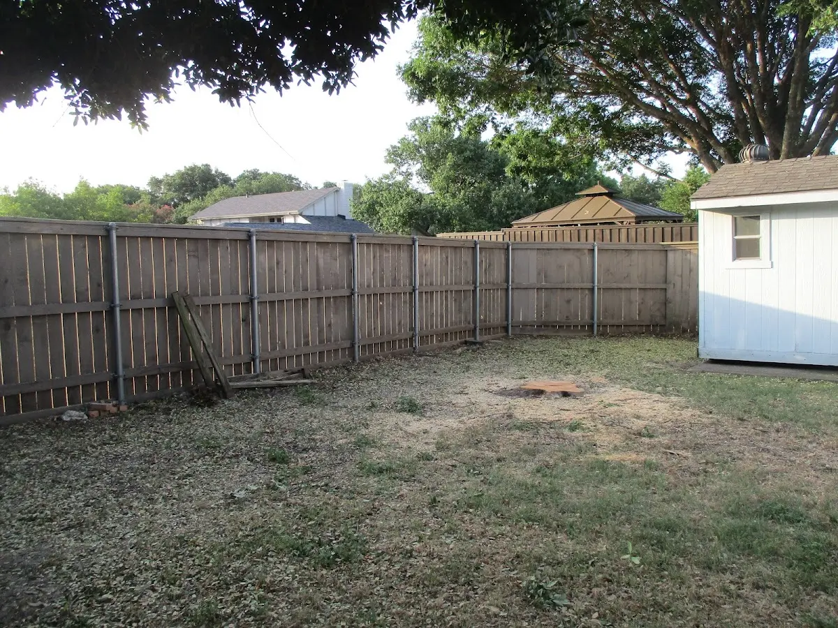 Cleared yard after professional tree removal in Essington