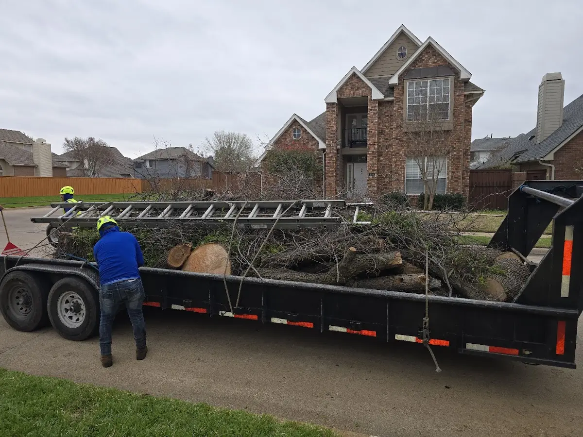 Expert Tree Fertilization with proper safety equipment in Essington